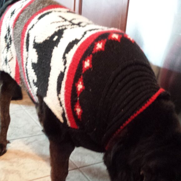 100% Cozy Warm Wool Sweaters for your Dog - Nordic Black Bear Design - Picture 2 of 2